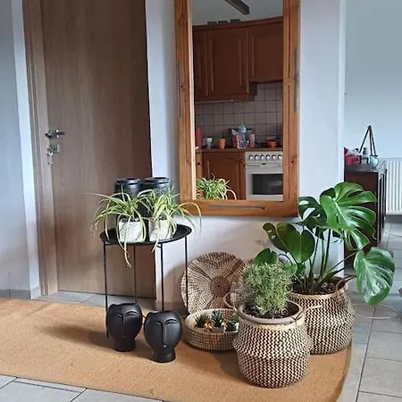 Metoxi Holiday home *