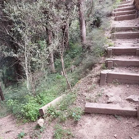 Metoxi